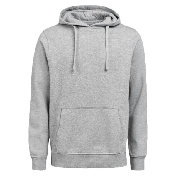 Hoodie Regular Fit Thumbnail